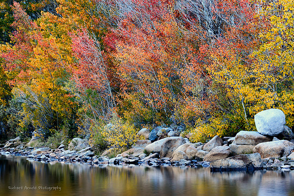 Fall Color