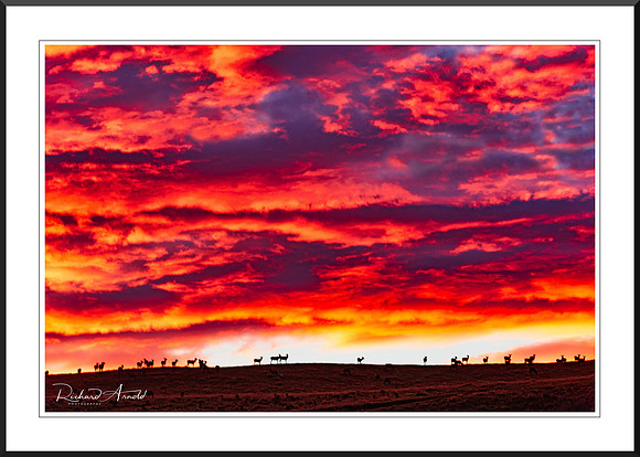 Fire In The Sky