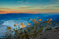 Sunrise from Dante's View