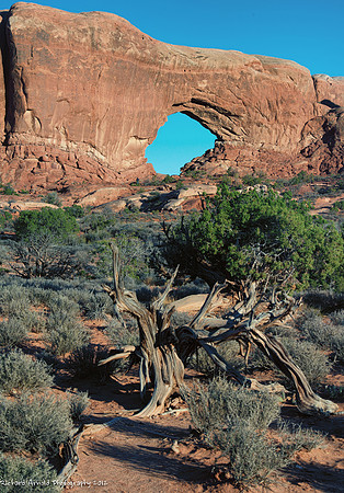 Window Arch; Moab, Utah