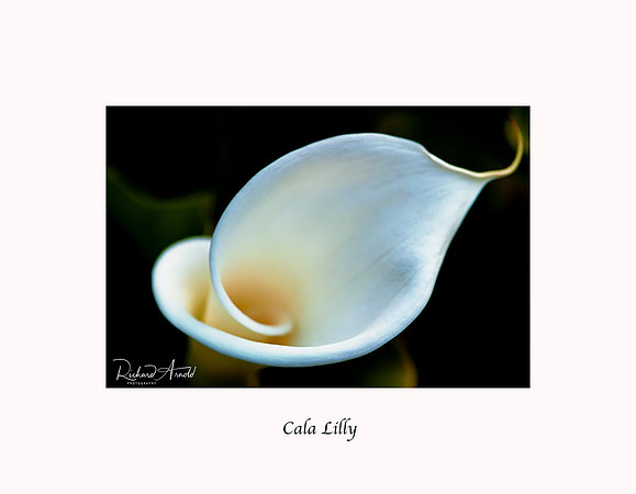 Cala Lilly