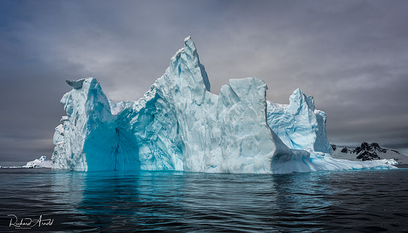 Iceberg #5