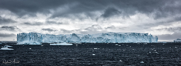 Iceberg #4