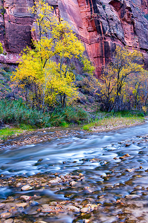 Fall color, Temple of Sinawava