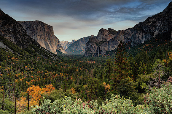 Fall Colors