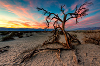 Sunset on the Mesquite Dunes