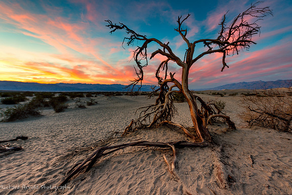Sunset on the Mesquite Dunes