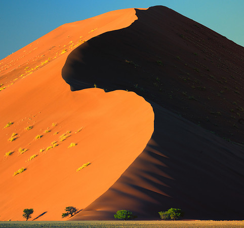 S-curve