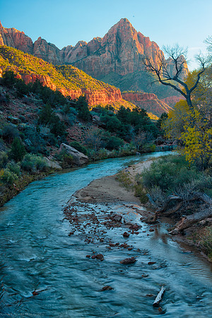 The Watchman