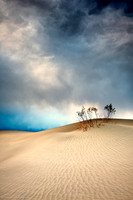 Storm Approaching