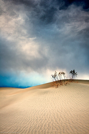 Storm Approaching