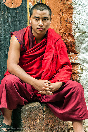 Young Buddhist Priest